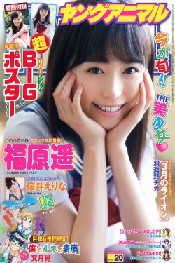 春花焰电视剧免费观看